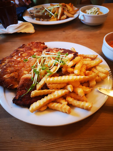 Trakt Papieski 50, 38-430 Rogi