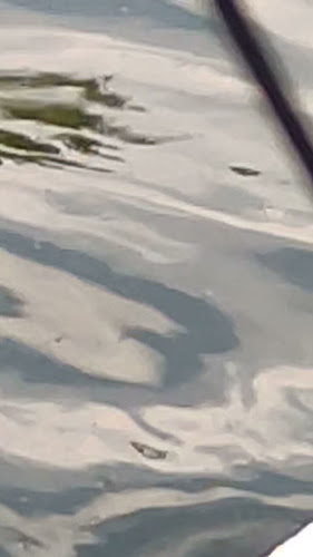 Opinii despre Cafe Berg în Wrocław - Gastronomia