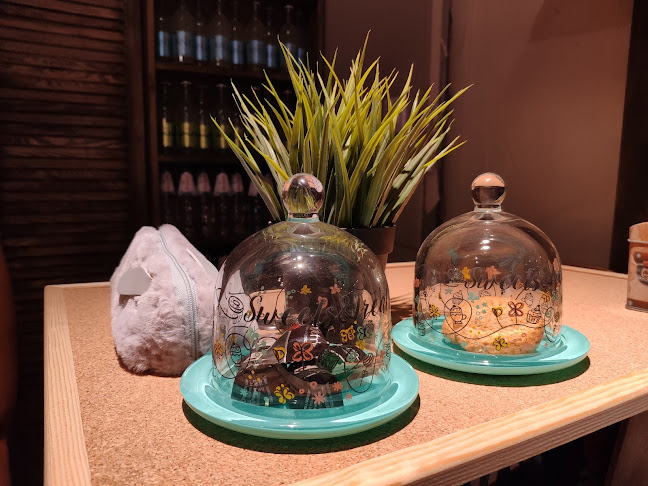 Kafe Kicia - Łódź