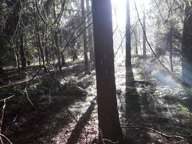 Gminna Spółdzielnia w Radwanicach