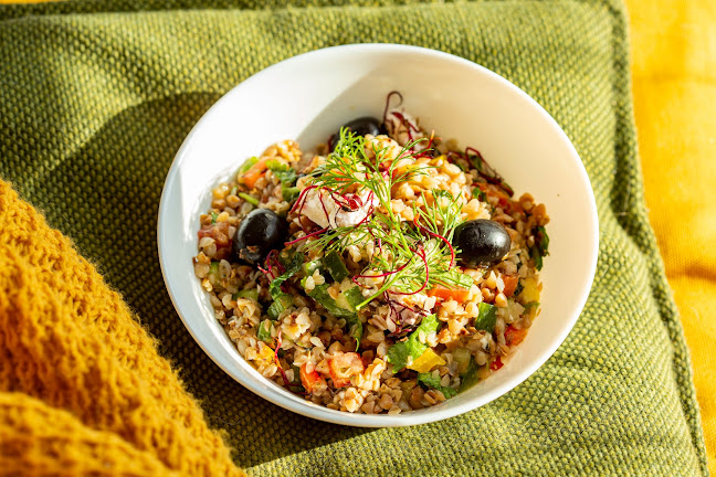 Comentarii opinii despre Fit-Meal