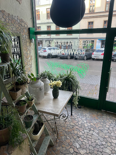 Opinii despre Tajemniczy Ogród Caffe & Ristorante în Stargard - Gastronomia