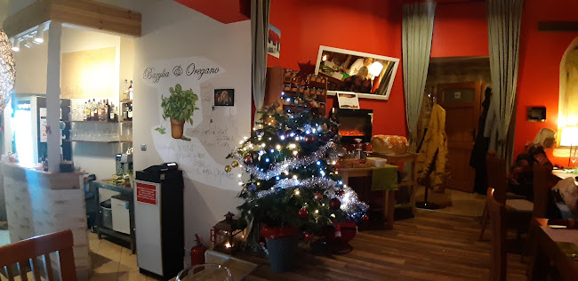 Opinii despre Bazylia&Oregano în Poznań - Gastronomia