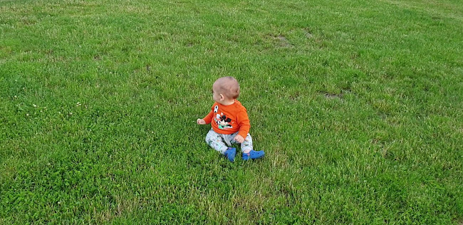 Zajazd Zornica - Krzewie Wielkie