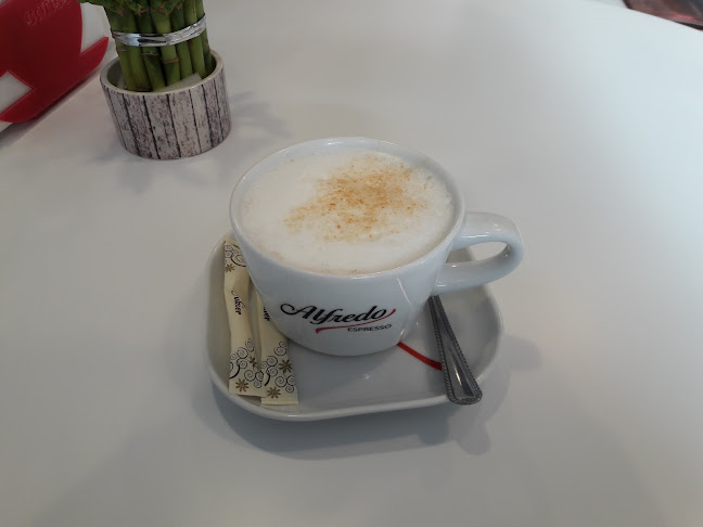 Comentarii opinii despre Plotka