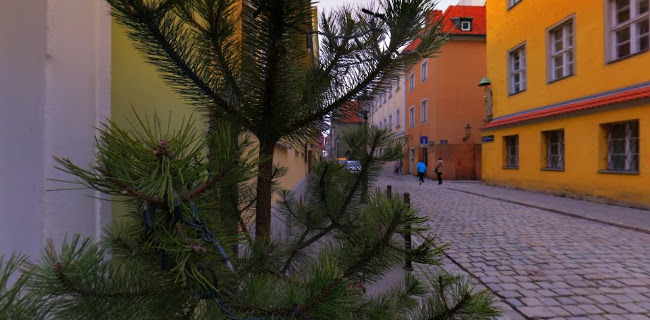 Weranda Caffe - Gastronomia