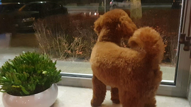 Restauracja Hot Paper