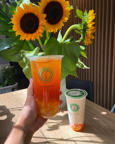 R&D Tea | Bubble Tea Łódź | Kawiarnia Łódź - Gastronomia