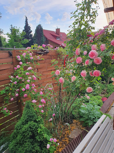 Comentarii opinii despre GRILLHAUS-MARKIZ Sp.z o.o.