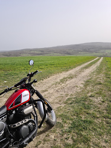 Winnica - Gastronomia