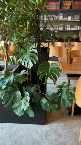 Opinii despre LOOPA Bistro&Bar în Gliwice - Gastronomia