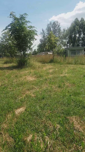 Plażowa Pizzeria - Komorowo