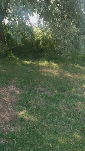 Comentarii opinii despre Plażowa Pizzeria