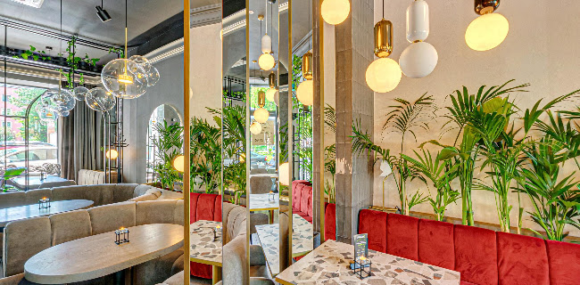 Comentarii opinii despre AWOKADO