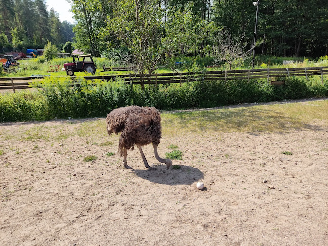 Ziołowa Dolina - Gastronomia