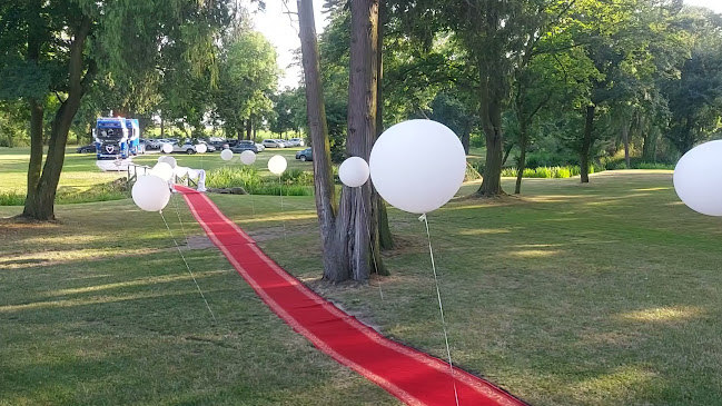 Zamek Gutów - Ostrów Wielkopolski