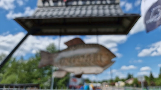 Comentarii opinii despre Karczma Karpiówka Restauracja Catering