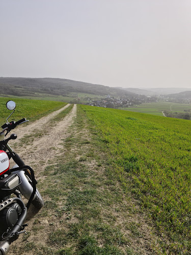 Comentarii opinii despre Winnica