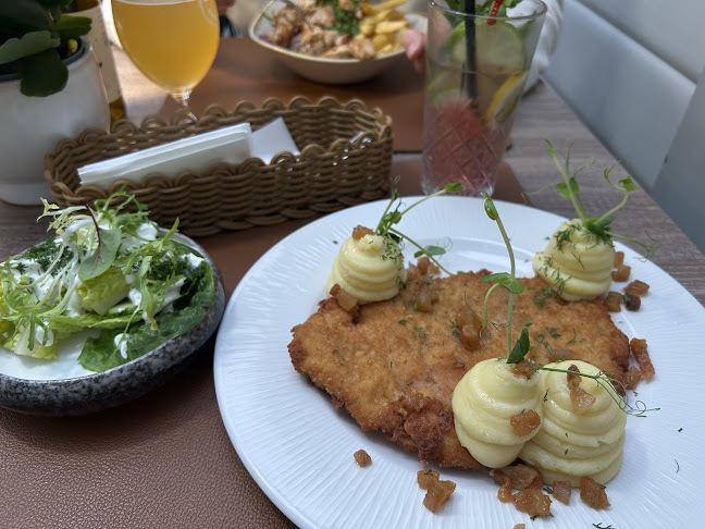 Restauracja U Kucharzy Kielce - Gastronomia