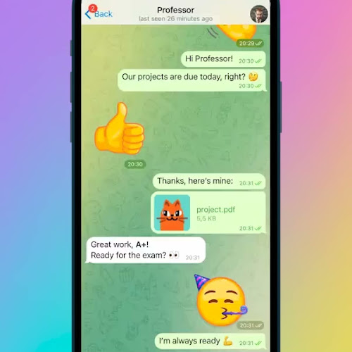 Warszawska 26, 09-402 Płock