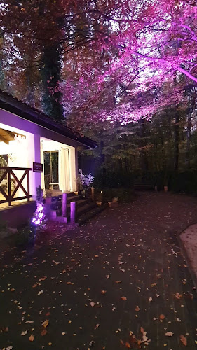 Wiosny Ludów 259, 44-310 Radlin