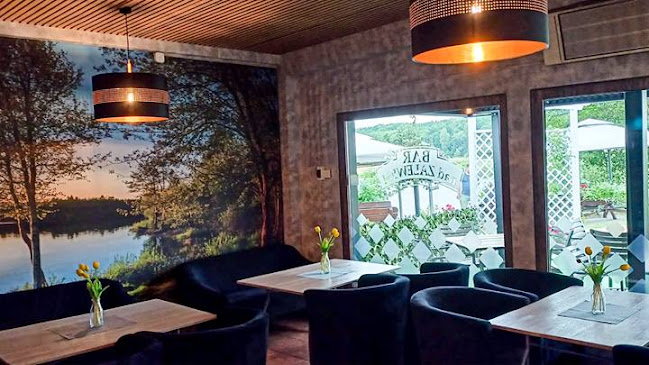 Comentarii opinii despre Bar Nad Zalewem