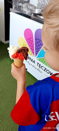 Lodziarnia Tęczowa lody naturalne - Poznań