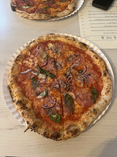 Comentarii opinii despre Skotnicka 105