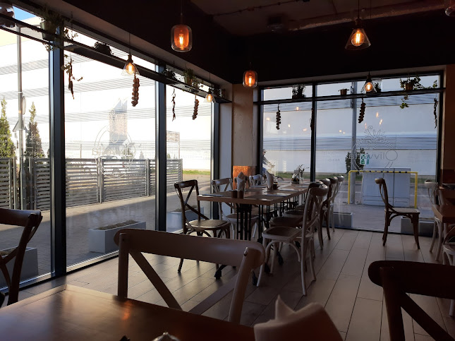 Comentarii opinii despre Olivvetta