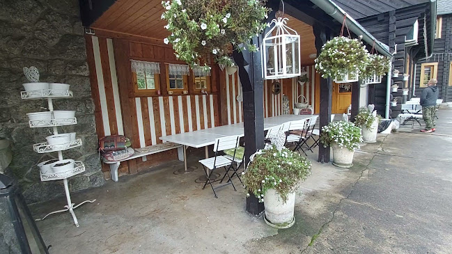 Comentarii opinii despre Perła Zachodu. Gościniec