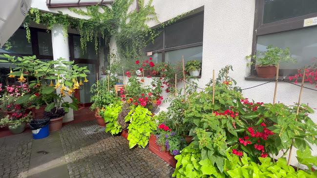 Bistro Luna