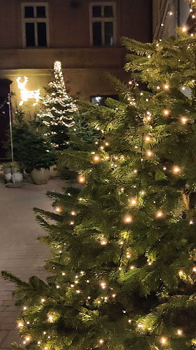 Comentarii opinii despre Zaułek niewiernego Tomasza