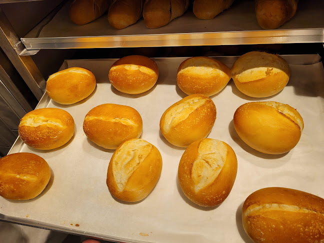 Piekarnia Złoty Kłos Palonek-Brożek Spółka Jawna Borzęta