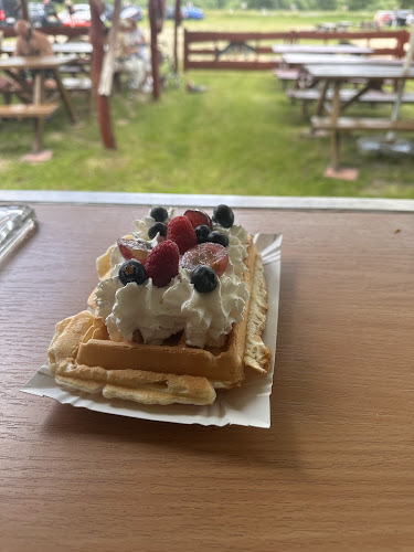 Mała gastronomia lodziarnia