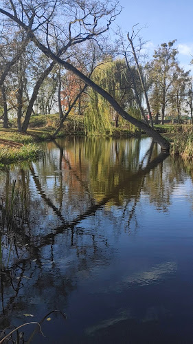 Zamek Gutów - Gastronomia