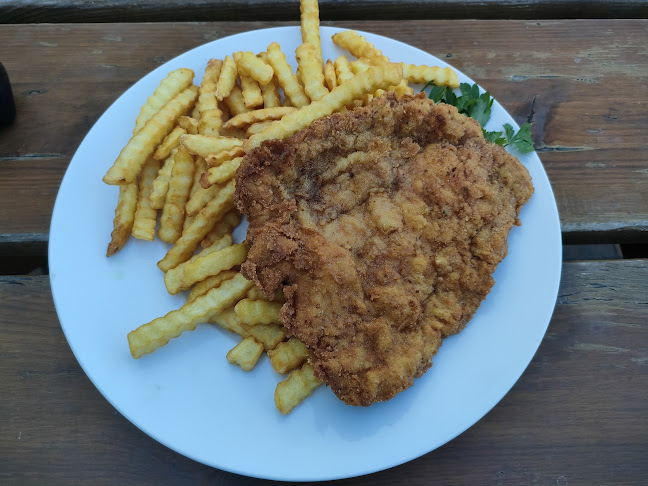 AGRO-BALA - Świętne