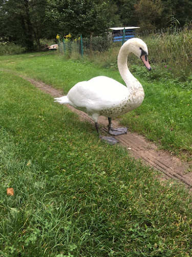Ziołowa Dolina - Gastronomia
