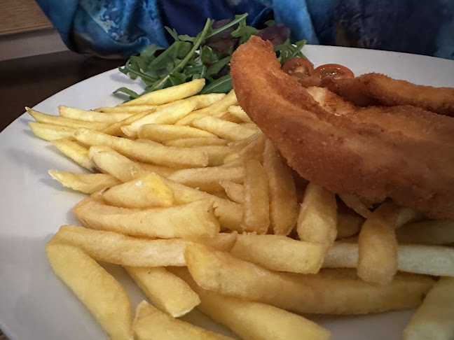 1, Havlíčkova 180, 737 01 Český Těšín, Czechy