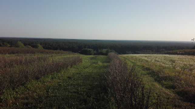 Jana III Sobieskiego 3, 23-400 Biłgoraj