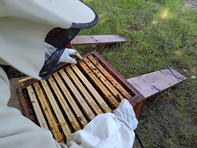 Ogrodowa 67, 32-064 Niegoszowice