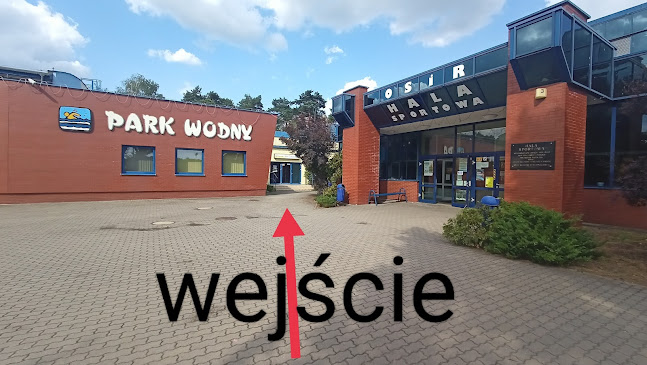 Pasibrzuszek