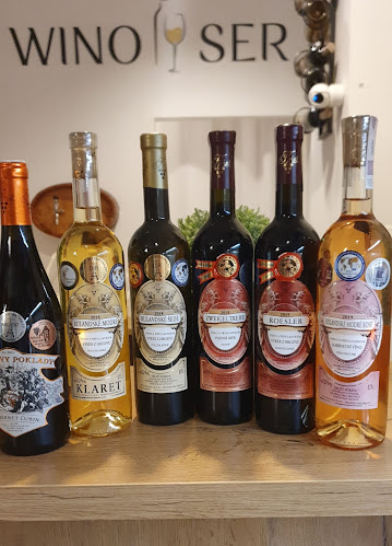 Opinii despre WINO I SER în Świdnica - Gastronomia