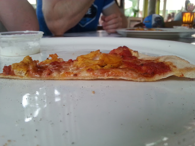 http://pizzeria-zielona-dolina.pl/