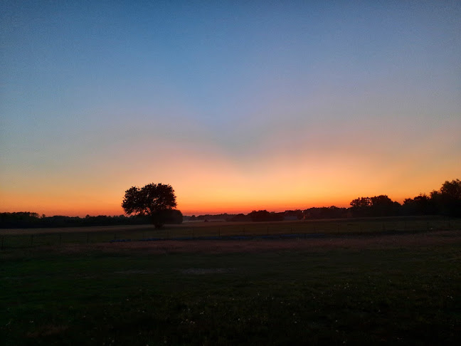 Krzywie 21, 09-500 Krzywie