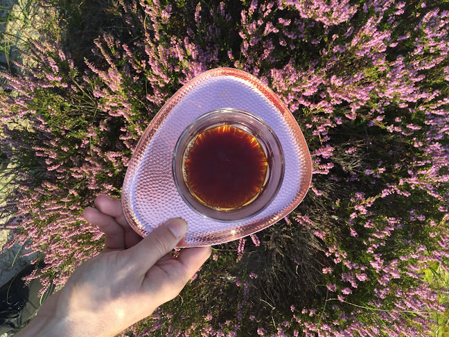 Opinii despre Kawiarnia TŁOK în Gdynia - Gastronomia