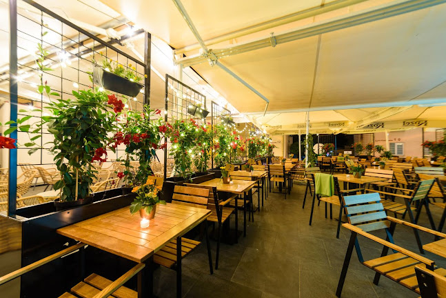 Kozlovna Rzeszów - Rzeszów