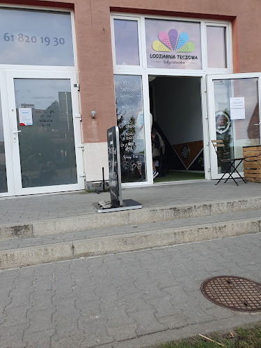Lodziarnia Tęczowa lody naturalne - Poznań