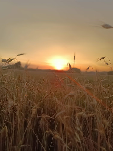 hydrofornia - Krzywie