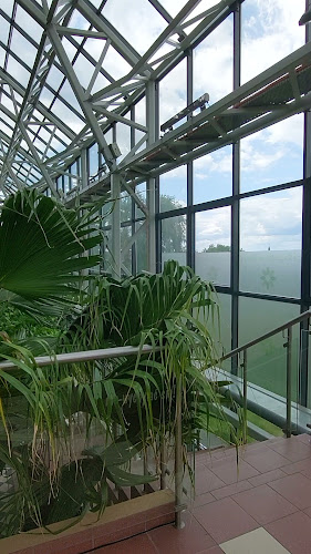 Restauracja Palmiarnia