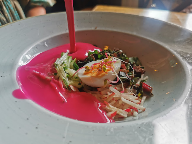 Comentarii opinii despre Restauracja Pod Sokołem